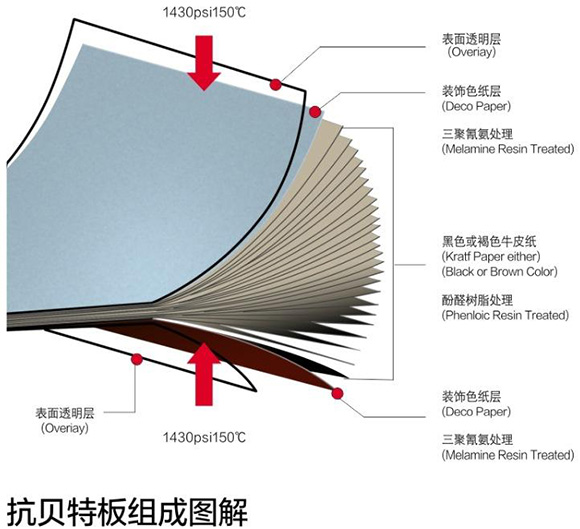 香蕉在线播放抗倍特板組成圖解