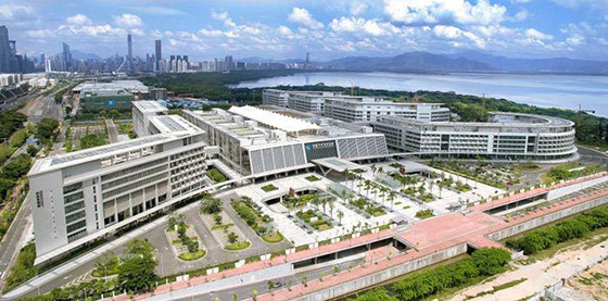 香蕉在线播放工程案例之香港大學深圳醫院